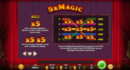 5x Magic Wild