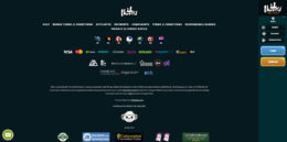 Ikibu Casino Partners