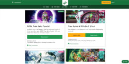 Mr Green Casino bonus