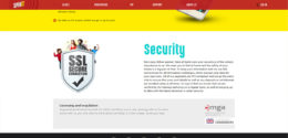 SpiniT Casino Security