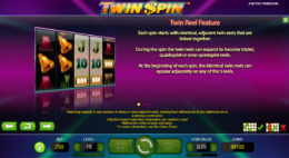 Twin Spin Bonus