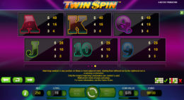 Twin Spin Symbols