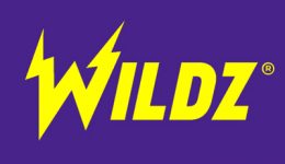 wildz-casino-logo